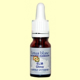 Olmo - Elm - 10 ml - Lotus Blanc