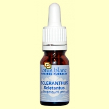Sclerantus - Scleranthus - 10 ml - Lotus Blanc
