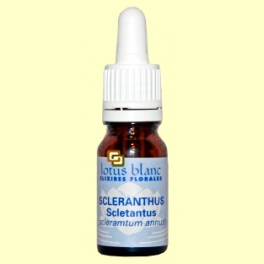 Sclerantus - Scleranthus - 30 ml - Lotus Blanc