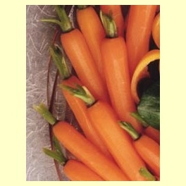 Información sobre el Beta-caroteno