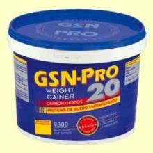 GSN Pro 20 Chocolate - 2,5 kg - GSN Laboratorios