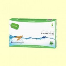 Carnitine - 20 ampollas - Novadiet