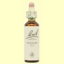 Mostaza - Mustard - 20 ml - Bach