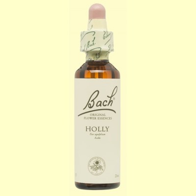 Acebo - Holly - 20 ml - Bach