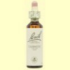 Clemátide - Clematis - 20 ml - Bach