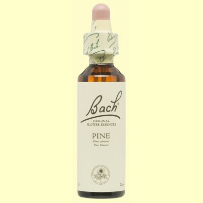 Pino - Pine - 20 ml - Bach