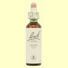 Olivo - Olive - 20 ml - Bach