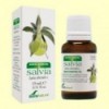 Aceite Esencial de Salvia - 15 ml - Soria Natural