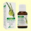 Aceite Esencial de Romero - 15 ml - Soria Natural
