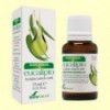 Aceite Esencial de Eucalipto - 15 ml - Soria Natural