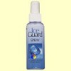 Desodorante Ice Guard Spray - 100 ml - Evicro Madal Bal