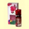 Eau de Parfum Rose of Bulgaria - 25 ml - Biofresh Rose of Bulgaria