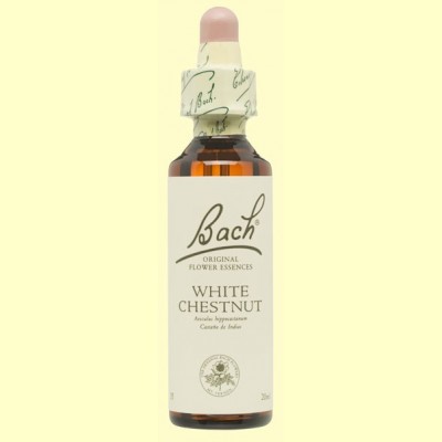 Castaño Blanco - White chestnut - 20 ml - Bach