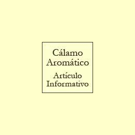 Cálamo aromático - Artículo informativo de Rafael Sánchez - Naturópata