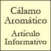 Cálamo aromático - Artículo informativo de Rafael Sánchez - Naturópata