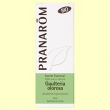 Gaulteria olorosa - Aceite esencial Bio - 10 ml - Pranarom