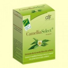 Camellia Select - Extracto de té verde - 60 cápsulas - 100% Natural