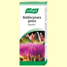 Boldocynara Gotas - 100 ml - A. Vogel