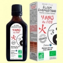 Yang del Fuego Bio - Elixir Nº3 - 50 ml - 5 saisons