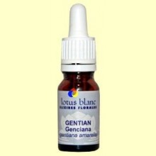 Genciana - Gentian - 30 ml - Lotus Blanc