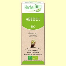 Abedul Bio - Yemoterapia - 15 ml - HerbalGem