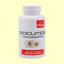 Procumbis - 60 cápsulas - Plantis