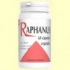 Raphanus - Raíz de Cochlearea - 60 cápsulas - Codival