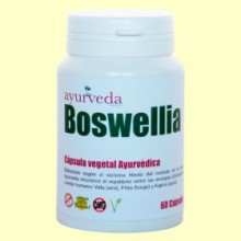 Boswellia - 60 cápsulas - Ayurveda