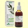 Olivo Extracto S XXI - 50 ml - Soria Natural