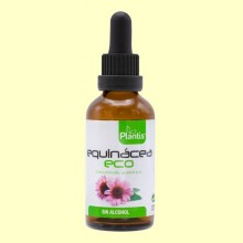Equinacea - Extracto Eco Sin Alcohol - 50 ml - Plantis