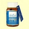 Harpagofito Estado Puro 1600 mg - 30 cápsulas - Tongil