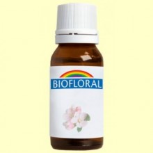 Willow - Sauce - 9 gramos - Biofloral