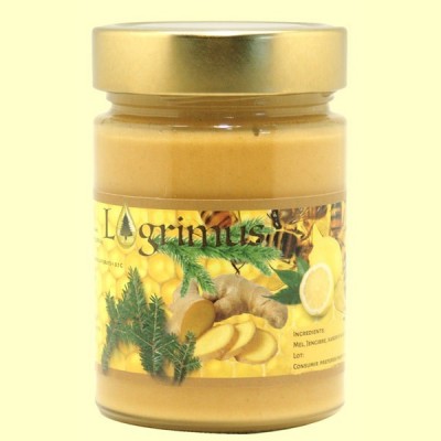 Miel con Jengibre - 450 gramos - Lagrimus