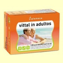 Vittal In Adultos - Jalea Real Fresca - 20 viales - Plameca