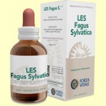 LES Fagus Sylvatica - 50 ml - Forza Vitale