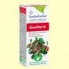 Aceite Esencial Gaulteria - 10 ml - Esential Aroms