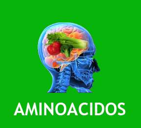 cerebro AMINOACIDOS
