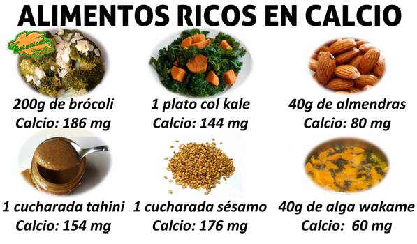 alimentos-ricos-calcio-1