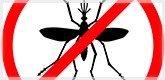 Repelentes Mosquitos Natural